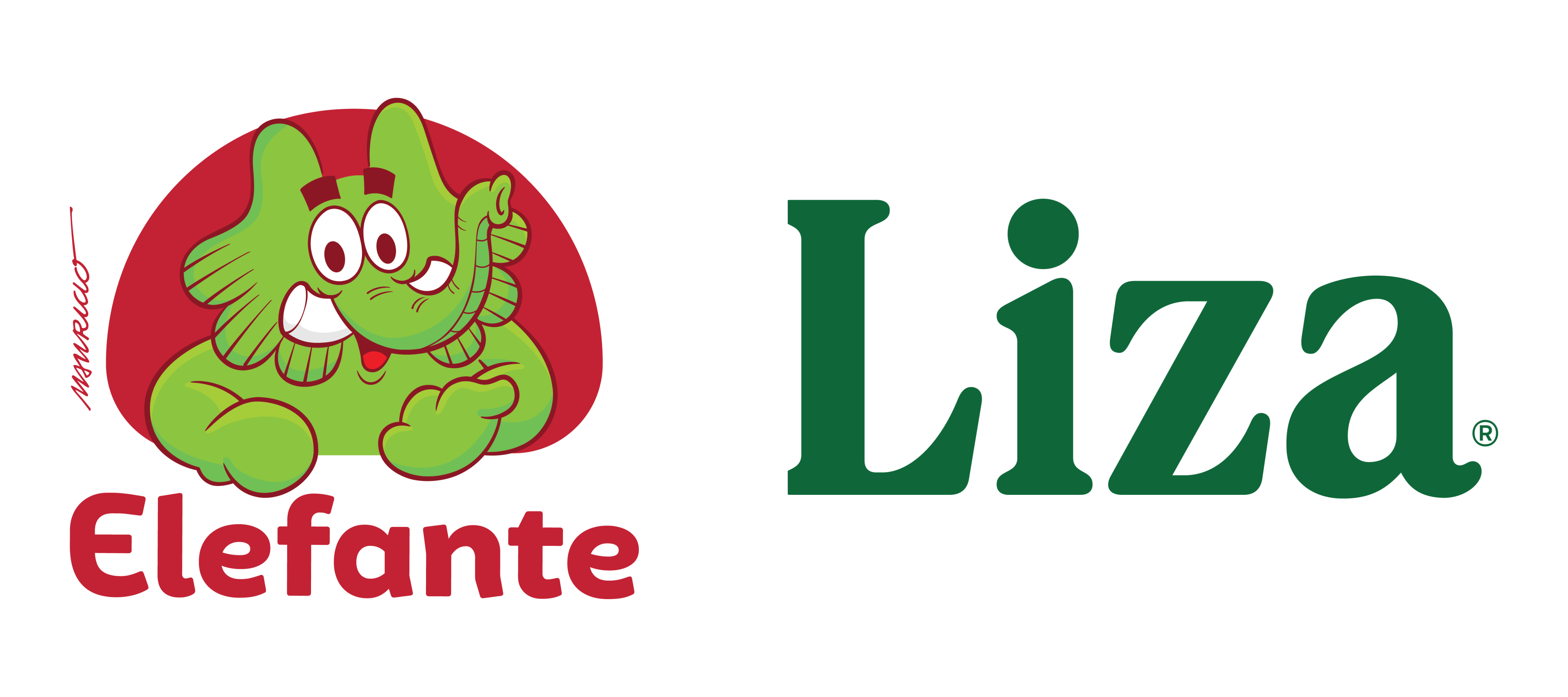 Loading Logo